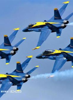 美国海军蓝天使飞行表演队战斗机表演图片