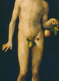 裸体男人亚当人体艺术油画图片