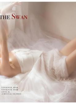 Editorials - Selected works.Mess Magazine #3 - Dance of the Swan