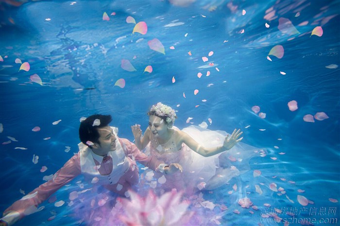 水下婚纱照照片(4)(点击浏览下一张趣图)