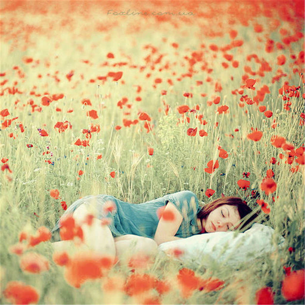 睡在花丛中的唯美女孩(点击浏览下一张趣图)