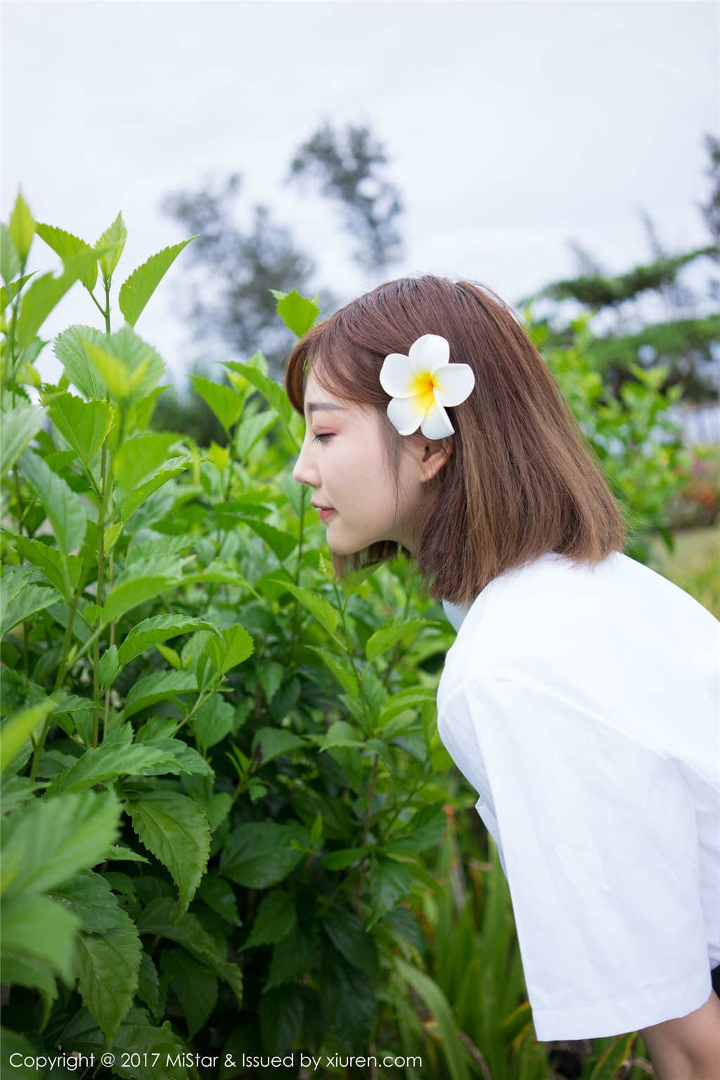 学生女短发发型森女系唯美写真(3)(点击浏览下一张趣图)