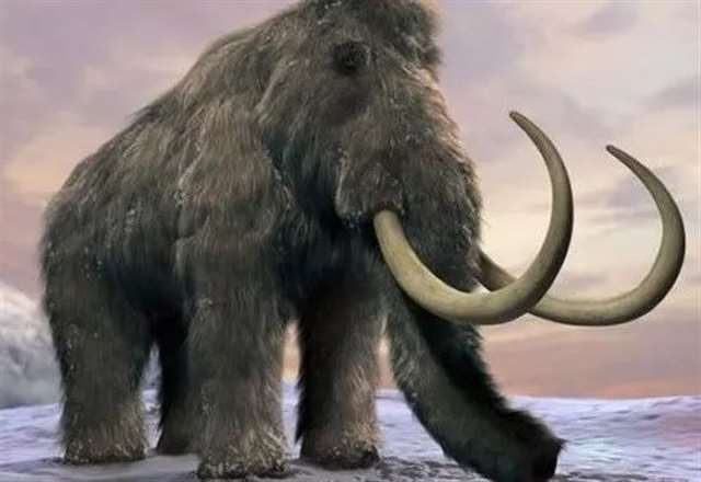 拼多多上搜什么出来污的东西