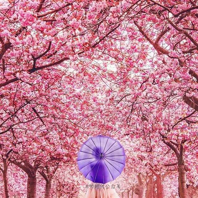 有品位的女人微信头像