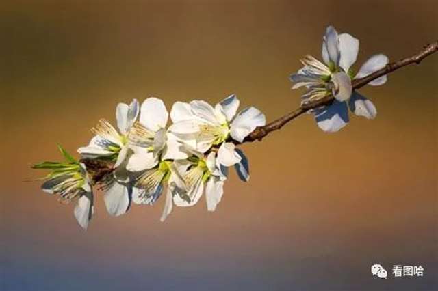 50多岁大年龄人的微信头像