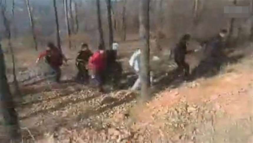 南海网 新闻中心 国内新闻 中国动态       视频显示,在郑州某小树林