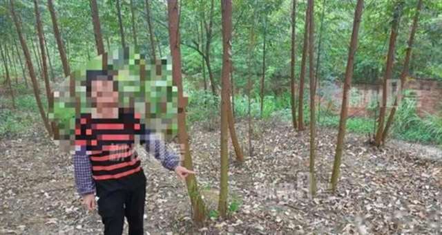 柳州12男2女竟在树林里干这龌龊事!
