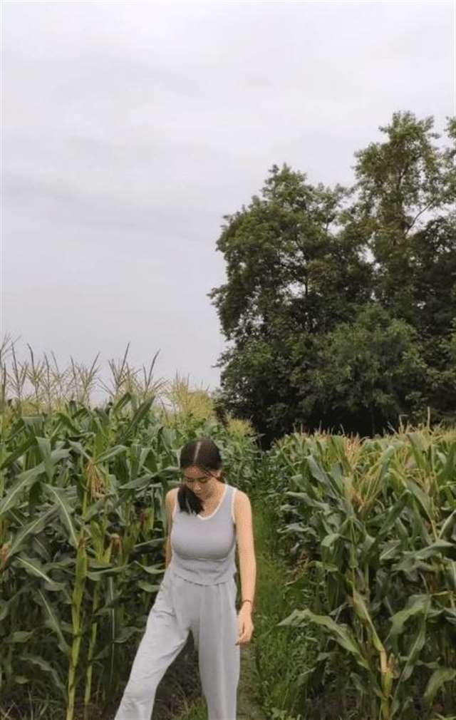 看天色都要下雨了,美女你还在苞米地里干什么?