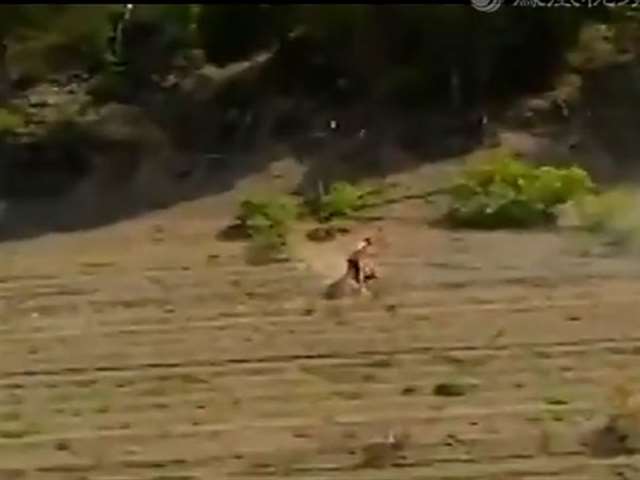 实拍野战男女遭无良骚年放炮轰炸