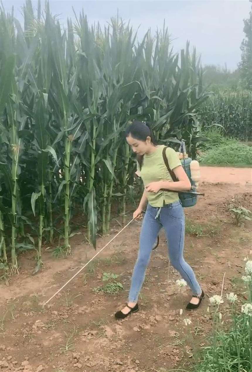 美女摄影:邻家秀美少妇