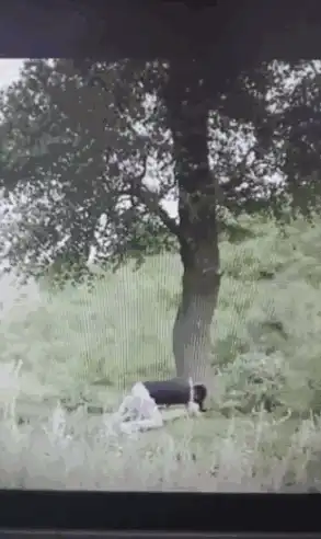 野战遇到了野战