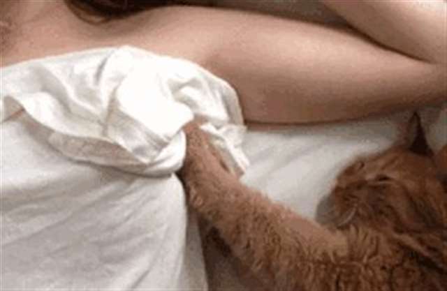 网为您提供【丰胸全过程动态图少女】的图片集,内容包含有用自己脂肪