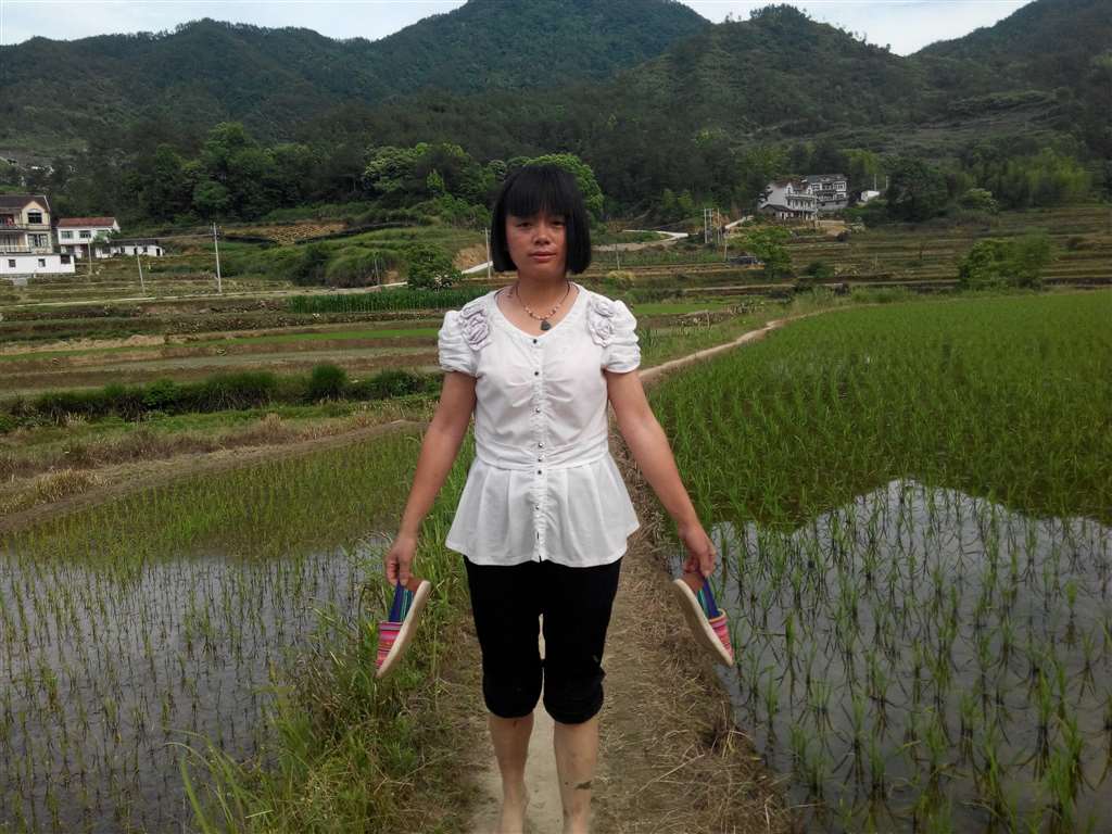 山村,留守妇女,插秧,鞋底,蚂蟥