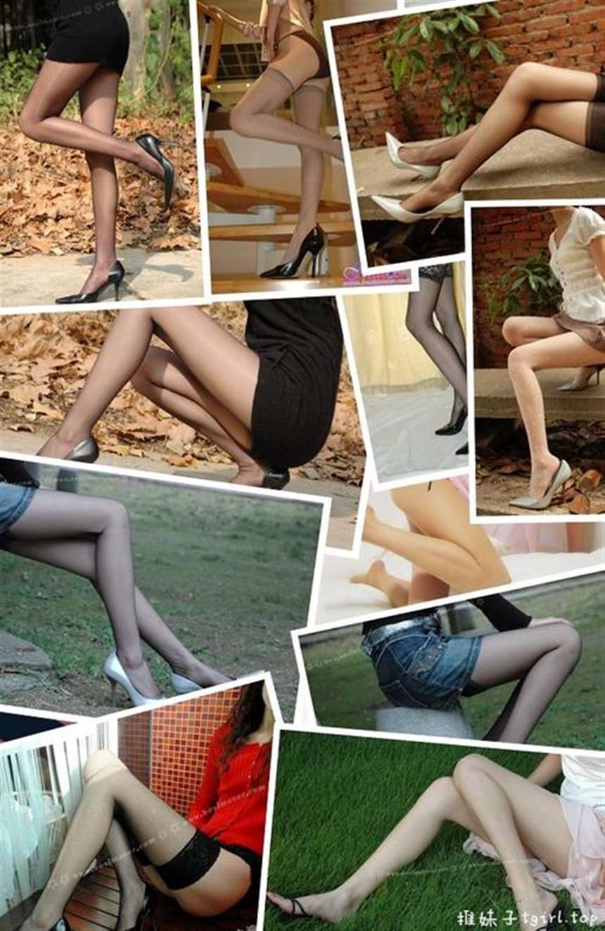 波斯猫儿(bosimaoer)套图全集打包下载[百度盘下载]