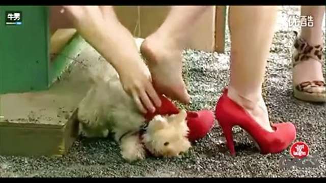 〈乱了三套〉搞笑 猎奇天下 《高跟鞋踩踏》