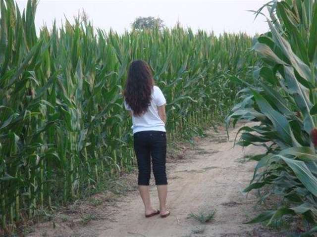 微胖的少妇走在大街上,用丰满形容很合适,可以这么美!