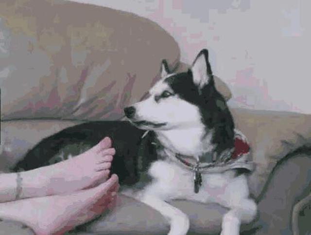 女生军训脚臭是什么样子的