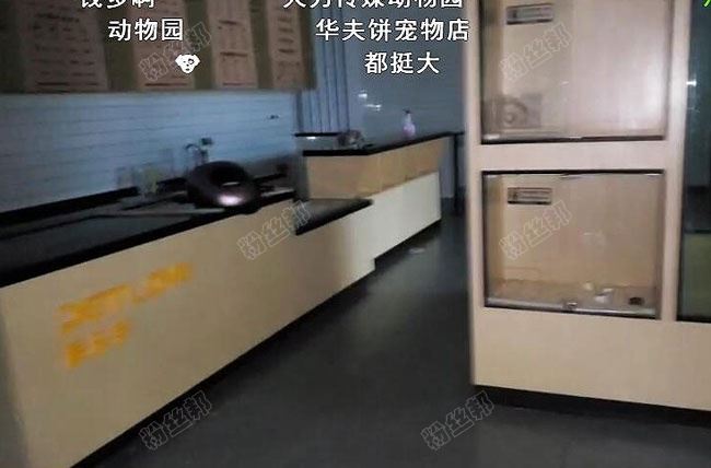 斗鱼钱小佳401酒吧开业，目标全国开401家连锁，被粉丝嘲笑像快餐店