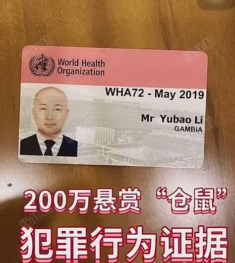 东方保哥悬赏200w，寻找“辛巴”罪证，快手将其封禁变成“Ta”，五哥分析也被封