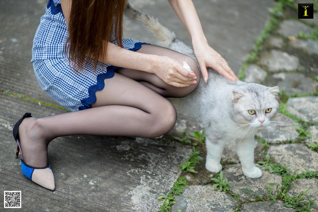 [IESS异思趣向] 九妹偶遇肥猫记