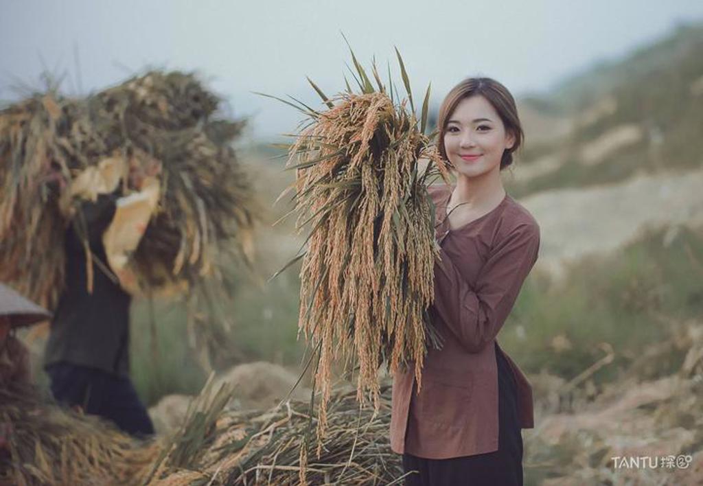 秋收—农家女 - 探图网,一个可售卖的高品质摄影社区