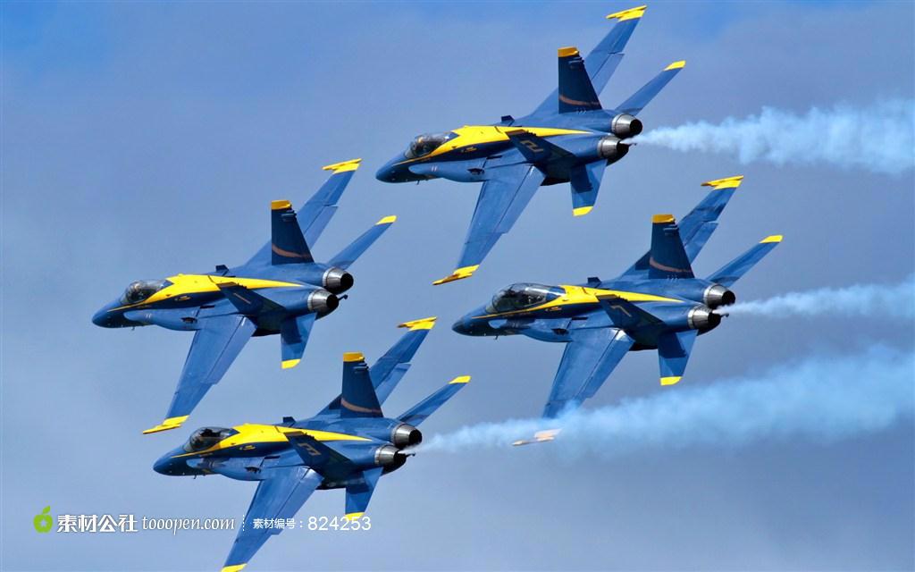 美国海军蓝天使飞行表演队战斗机表演图片