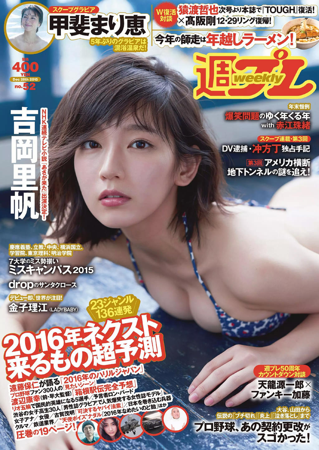 片山萌美 [Weekly Playboy] 2015 No.52