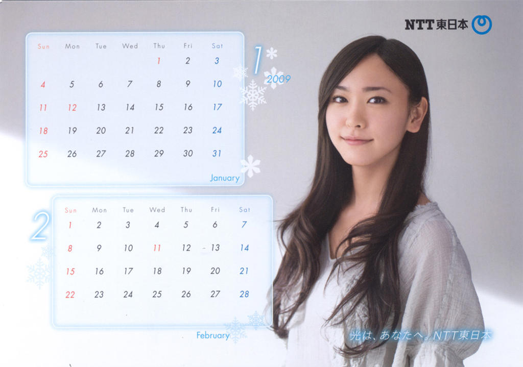 新垣结衣2009 NTT東日本.2009CALENDAR