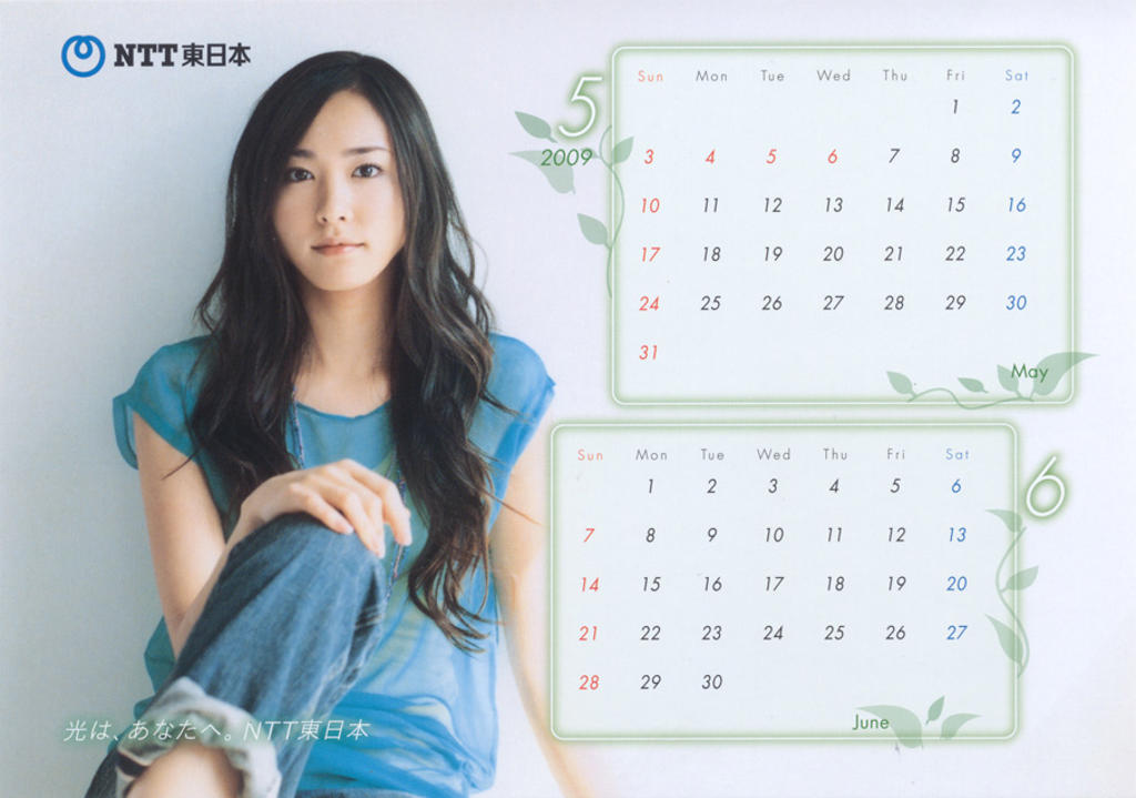 新垣结衣2009 NTT東日本.2009CALENDAR