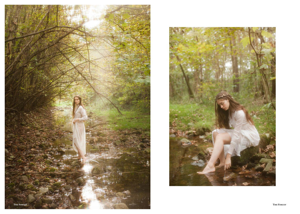 Editorials - Selected works.The Forest Magazine-The Call of Autumn