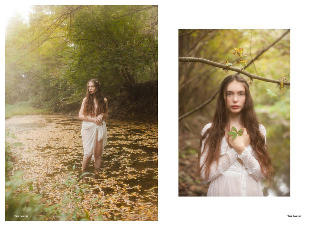 Editorials - Selected works.The Forest Magazine-The Call of Autumn