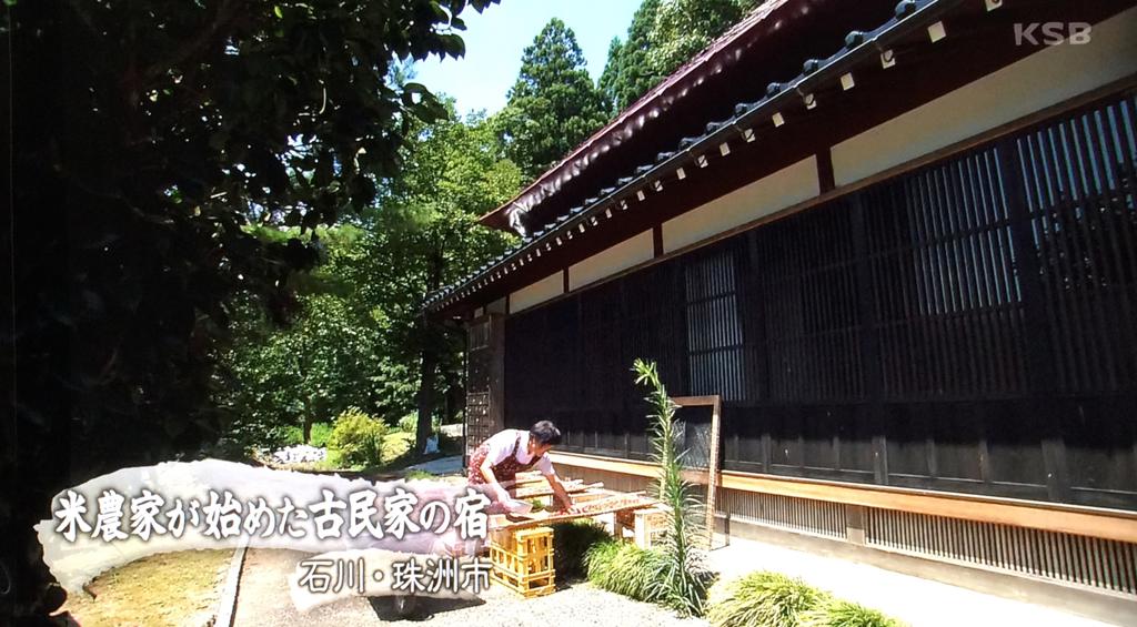 夏树阳子(夏樹陽子)写真