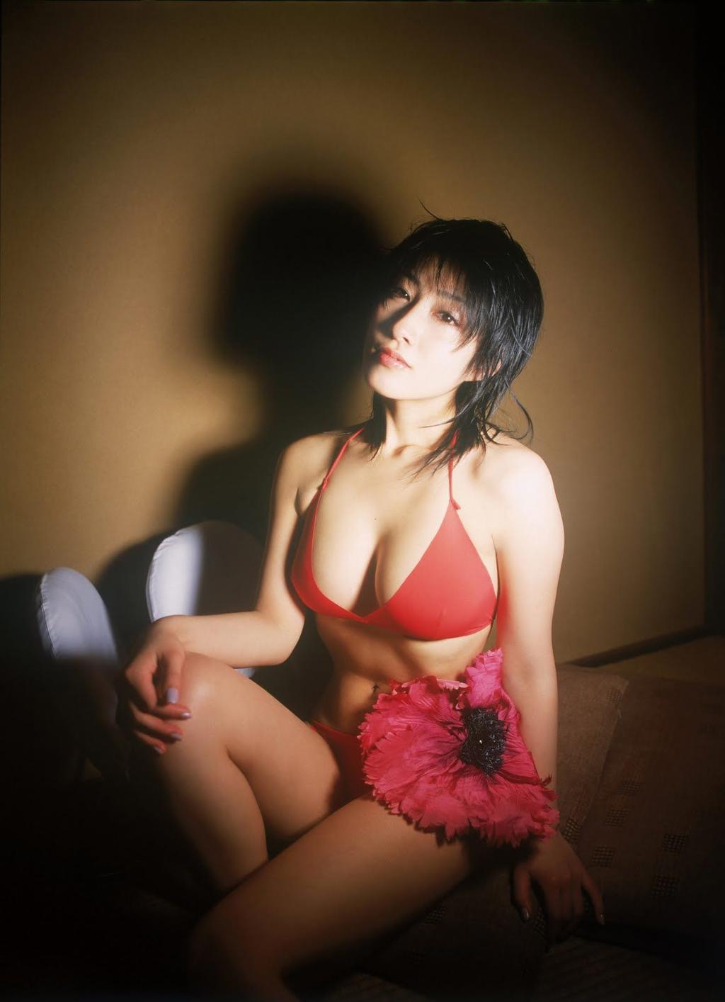 佐藤宽子(佐藤寛子 )写真