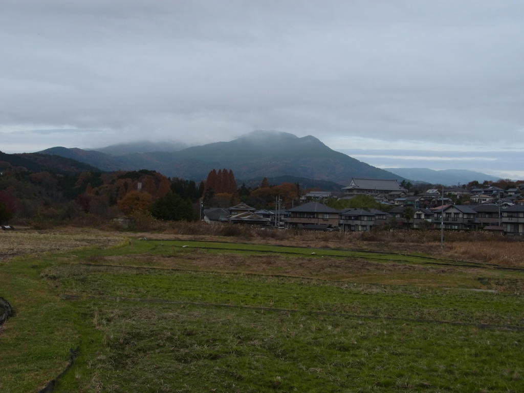 青田典子写真