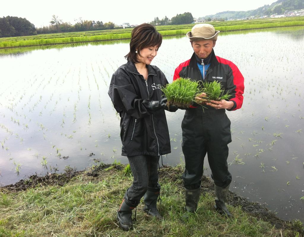 小林幸子写真