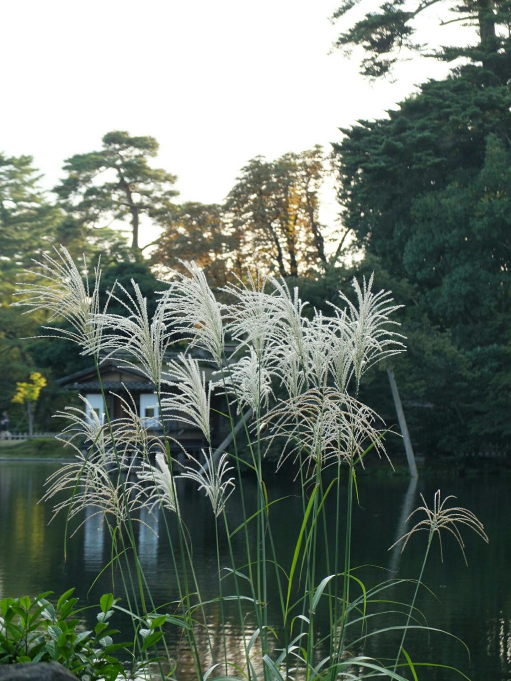 关惠美(関めぐみ)写真