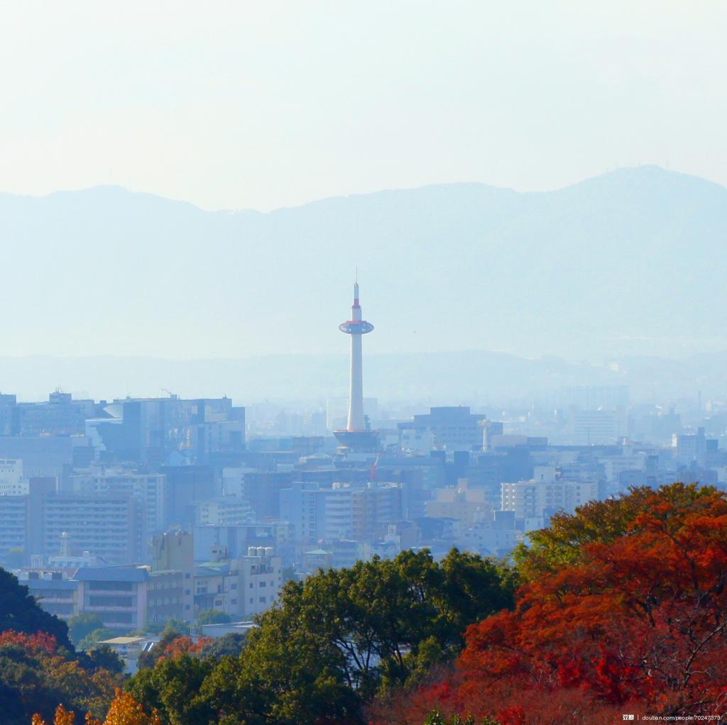 枫(楓 )写真