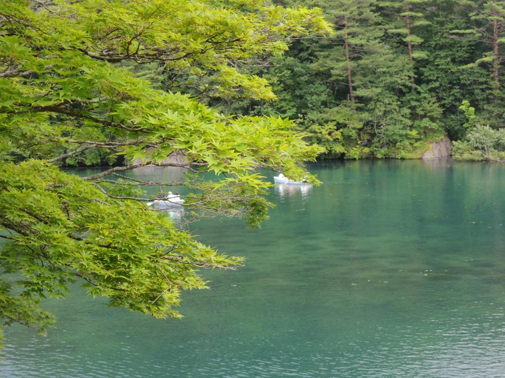 麻丘惠(麻丘めぐみ)写真