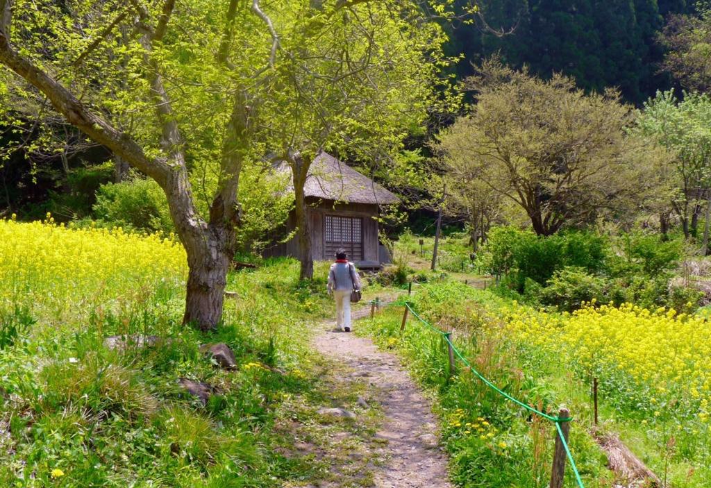 北林谷荣(北林谷栄)写真