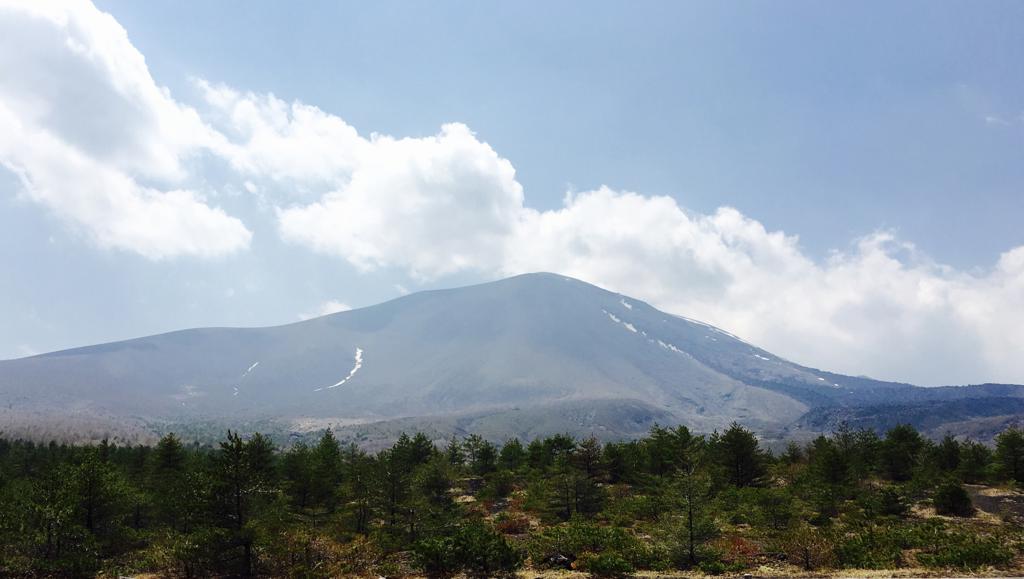 森崎惠(森崎めぐみ)写真