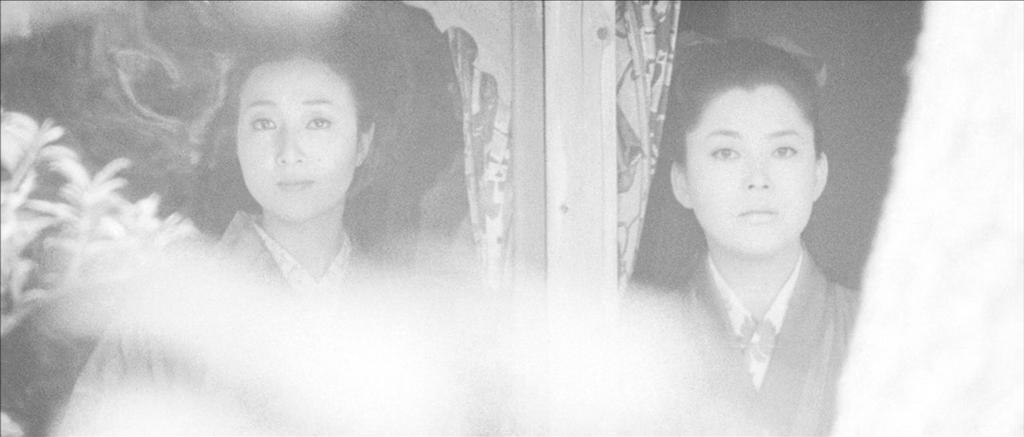 稻野和子(稲野和子)写真