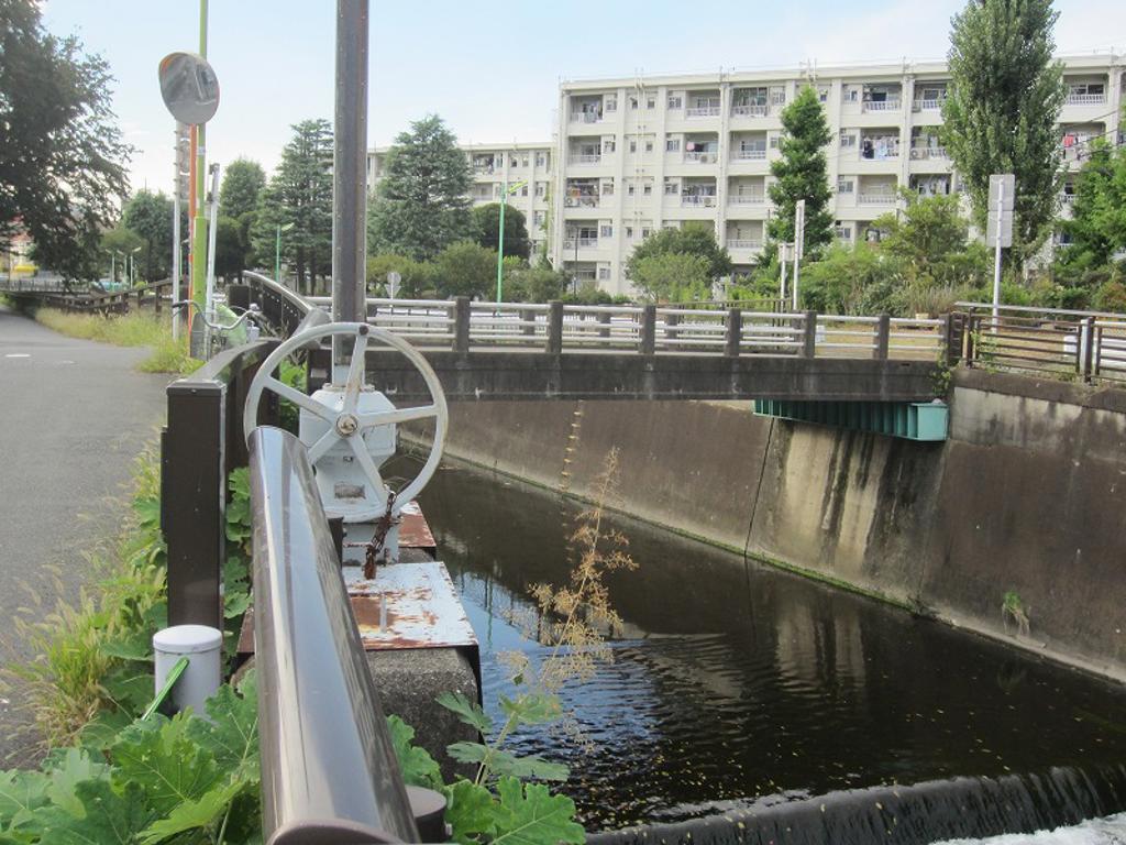 木村俊恵写真