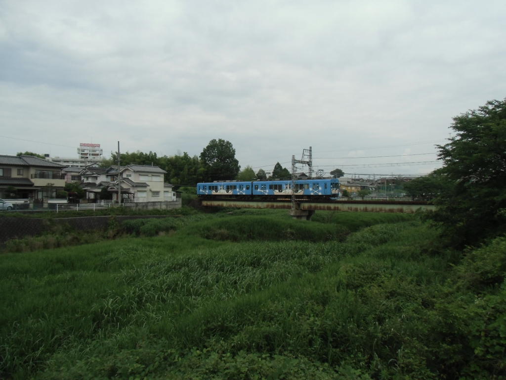 森崎友纪(森崎友紀)写真