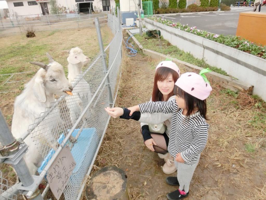 沼尻沙弥香写真